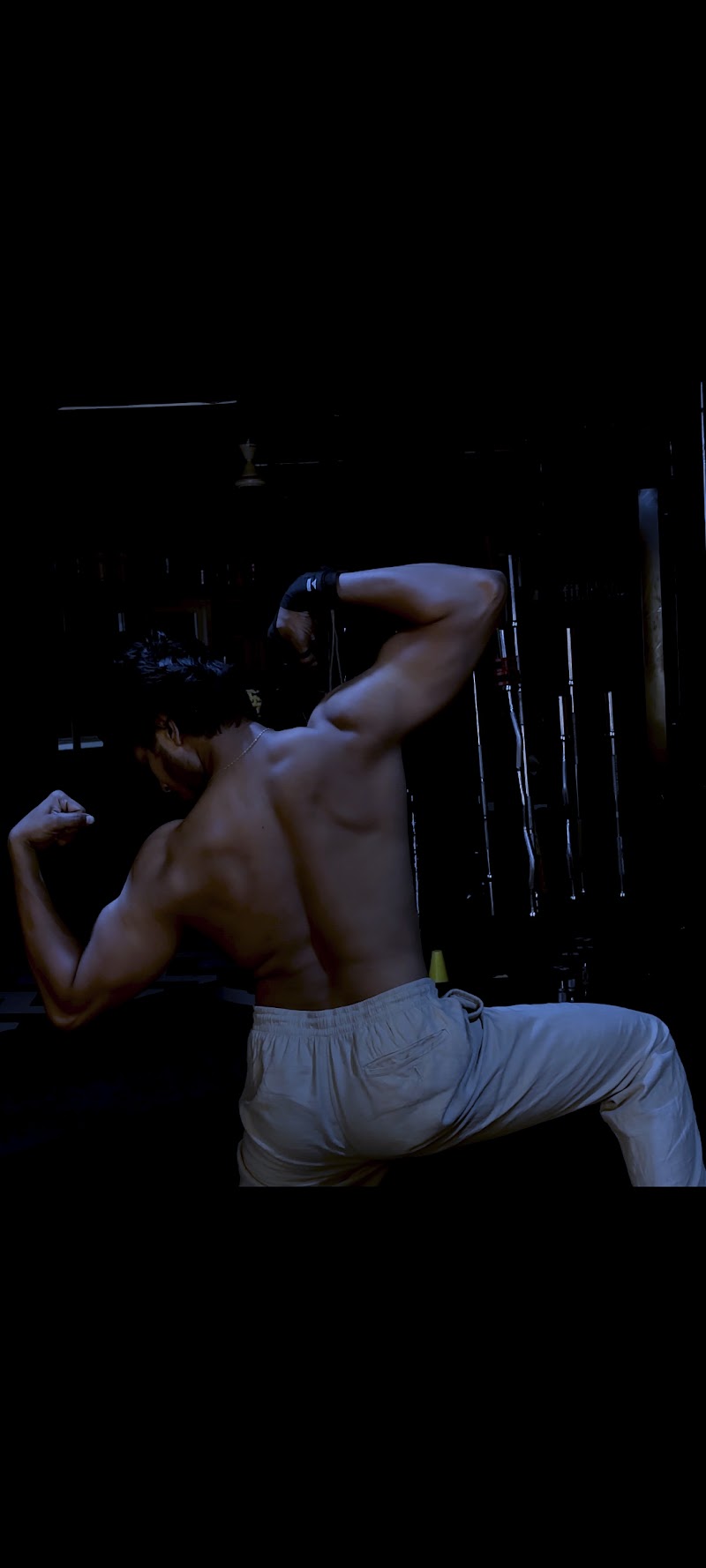 fithive Gym