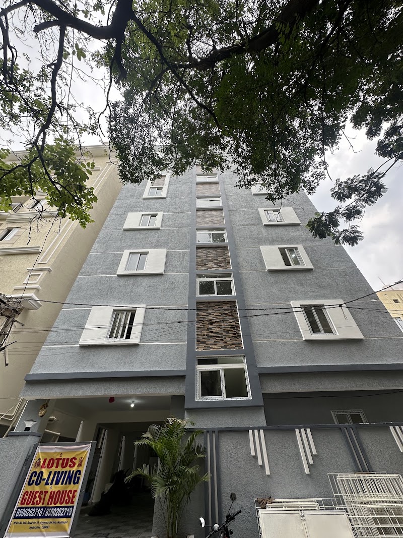 Lotus Co-Living & Guest House