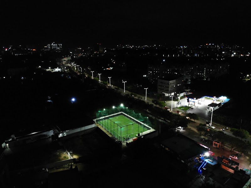 Play The Field