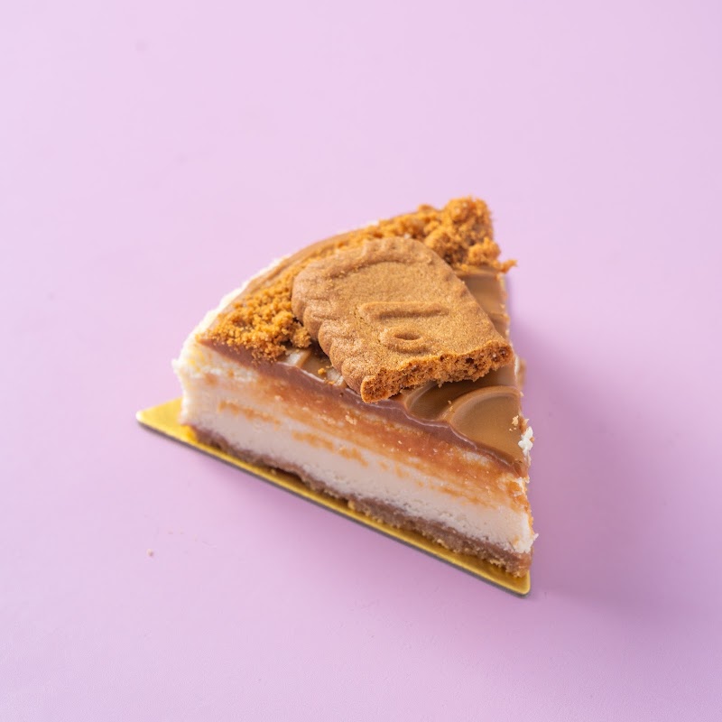 Modge by Land Of Cakes