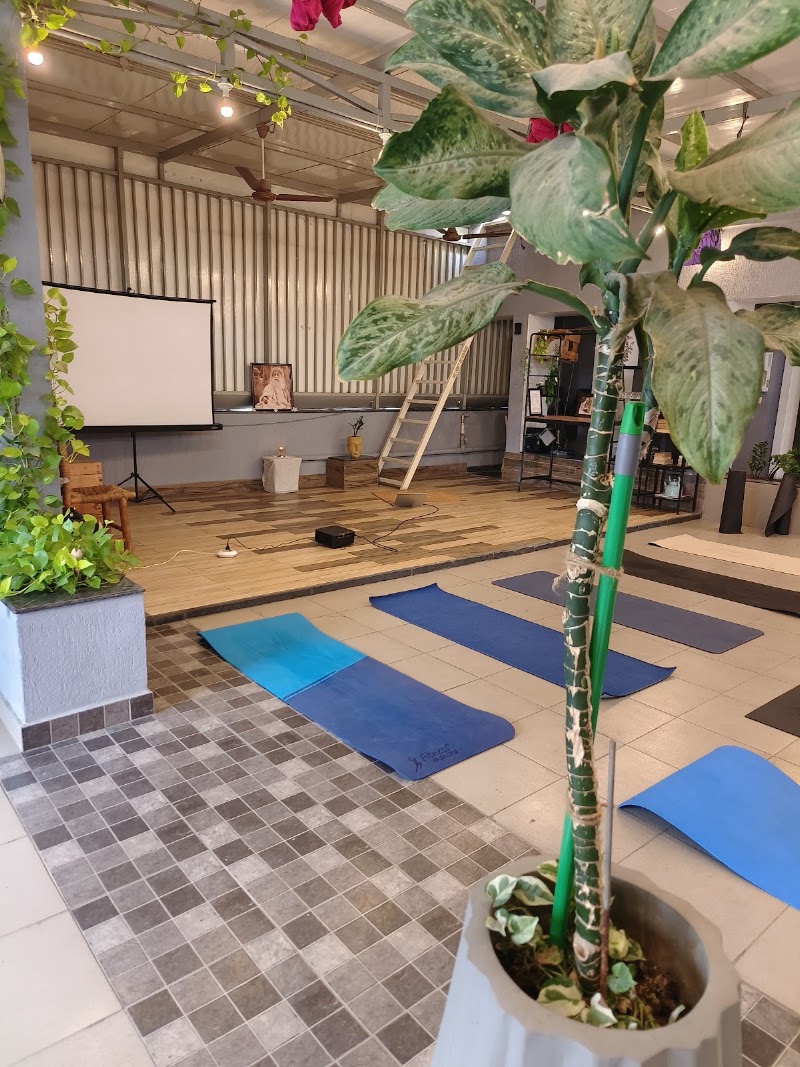One Asana
